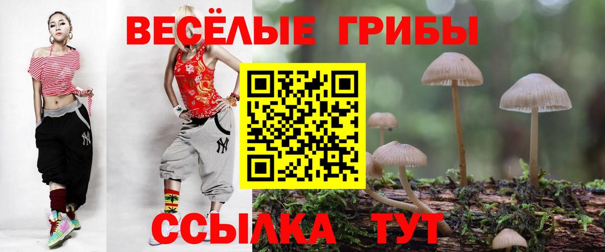 Псилоцибиновые грибы мухоморы Черняховск
