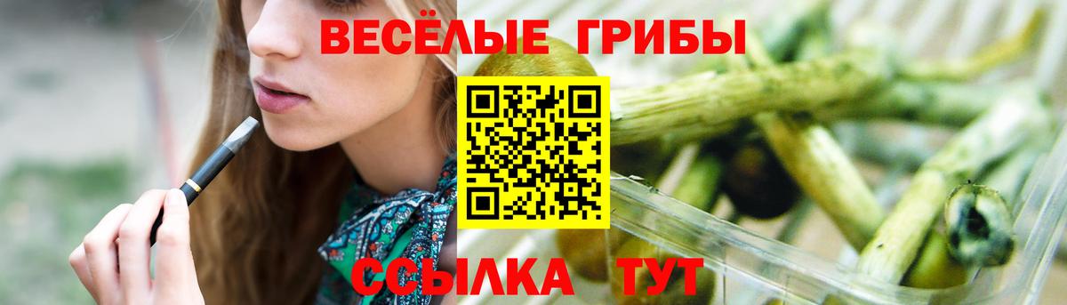 Псилоцибиновые грибы Psilocybine cubensis  Вход с VPN  Псилоцибиновые грибы MAGIC MUSHROOMS  Черняховск 